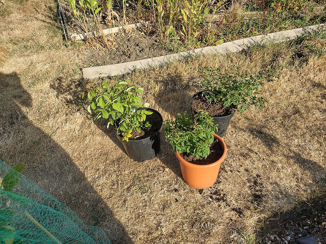 IMG_20260727_175646353_HDR