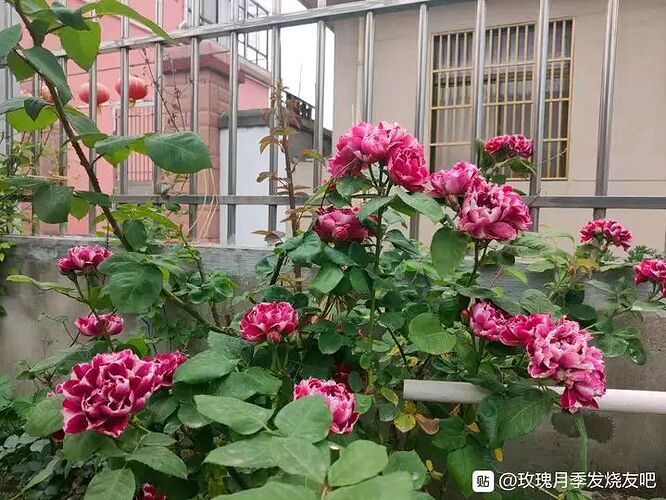 微信图片_2023040612290410