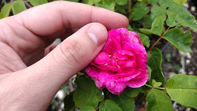 IMG-20260928-WA0002