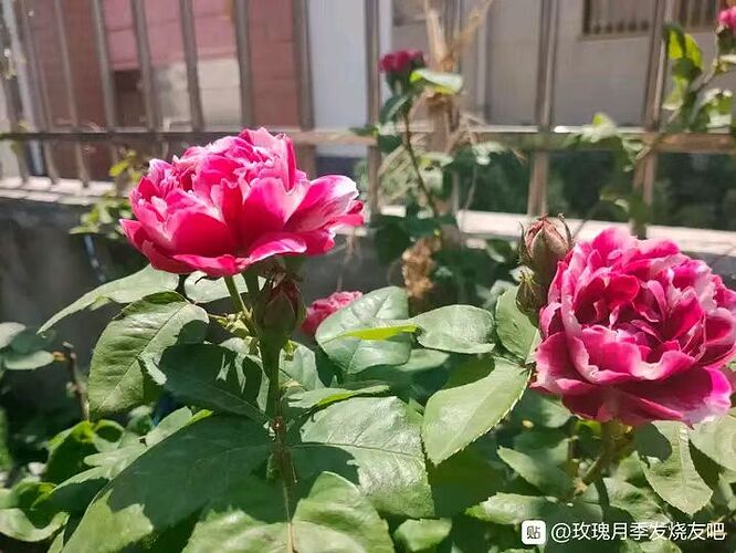 微信图片_202304061229047