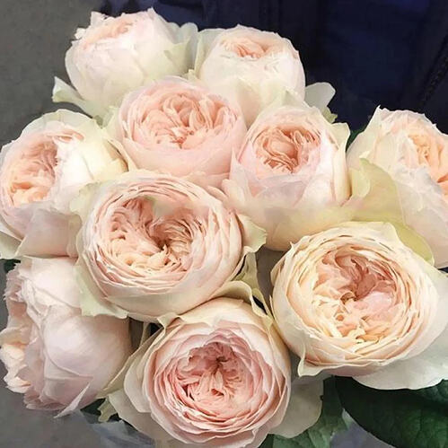 il_794xN.6640806433_s573