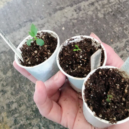 816d33ef-5d6e-42e1-9642-47898917de64-1_all_13137