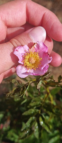 IMG_20260125_154846_923