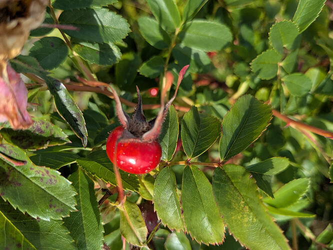 PXL_20250905_091945873