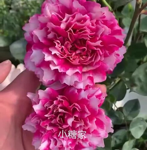 微信图片_202304061253271
