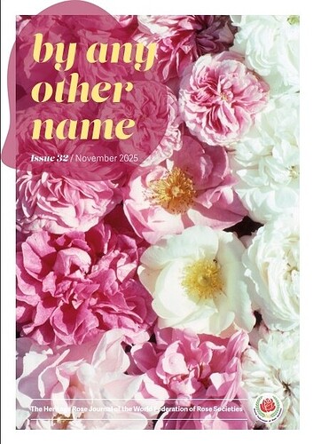 by_any_other_name_Issue 32_November 2025