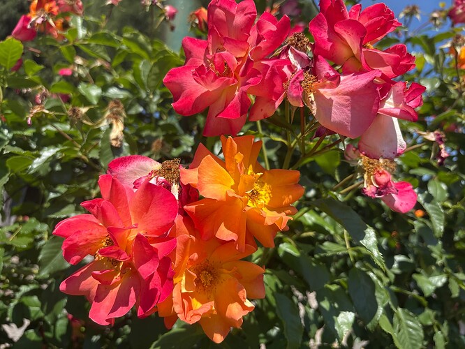 859D5CA9-05C5-4C74-81C7-E56ACDB15BC4