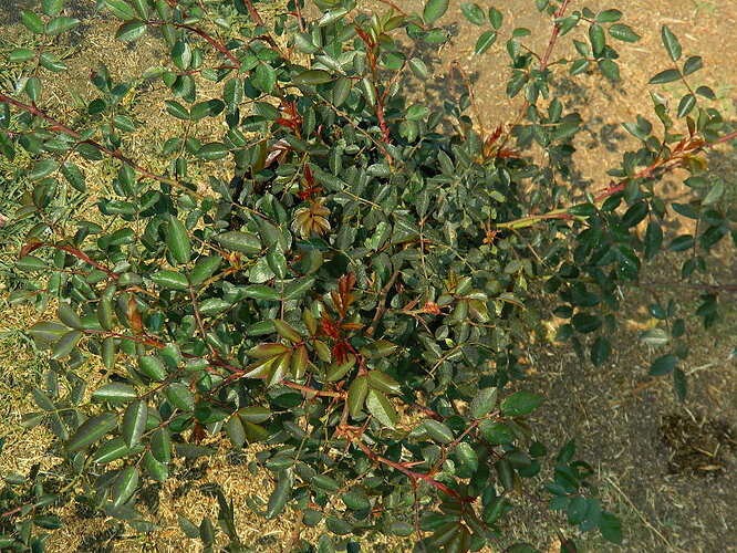 DSCN5102.JPG