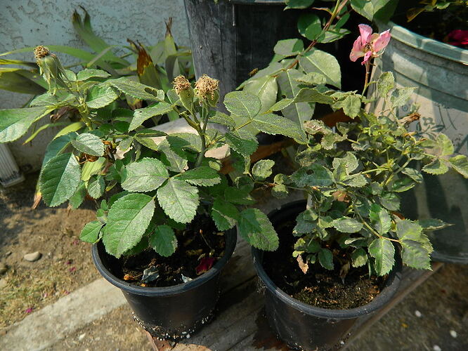 DSCN5103.JPG