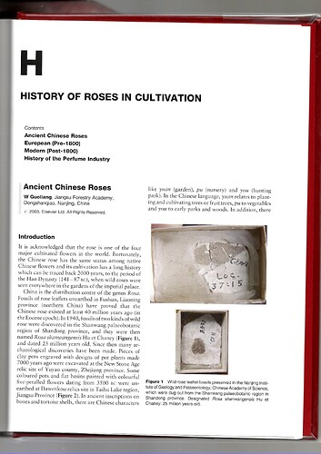 W_Guoliang_2023_Ancient_Chinese_Roses_Encyclopedia_of_Rose_Science (1)