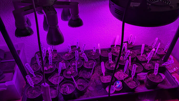 PXL_20260108_141245502