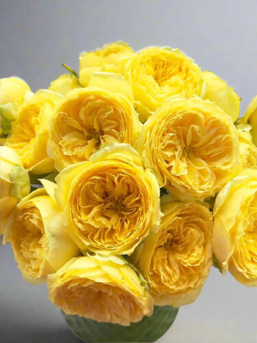 il_794xN.7219161395_7221