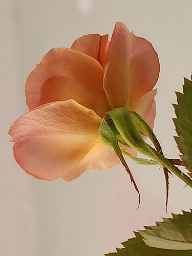 20230719_080900