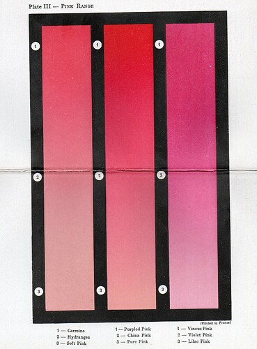 Plate_III