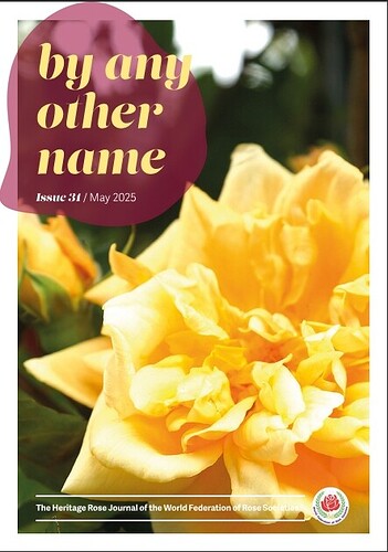 By_any_other_name_ Issue_ 31