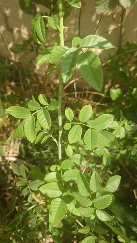 IMG_20230821_122643