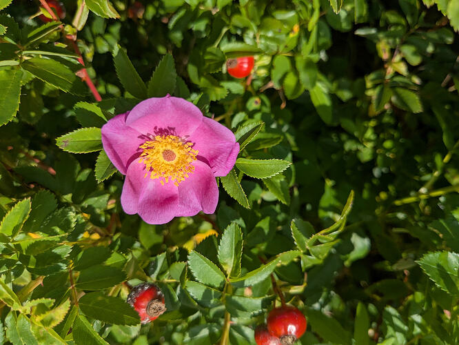 PXL_20250905_091926175