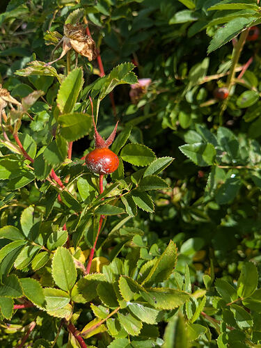 PXL_20250905_091929174