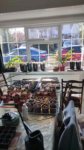 IMG-20260319-WA0005