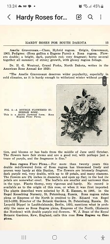 Screenshot_20230717_132455_Samsung Notes