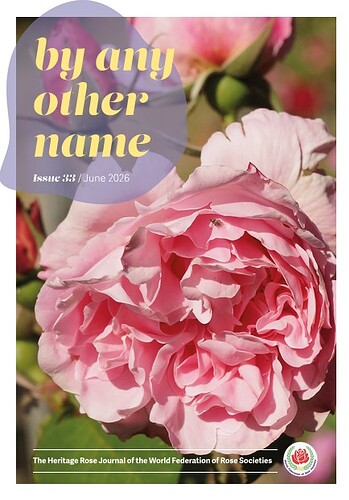 Issue_33_By_any-other_name_June_2026