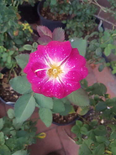 20190308_185537