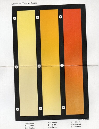 Plate_1