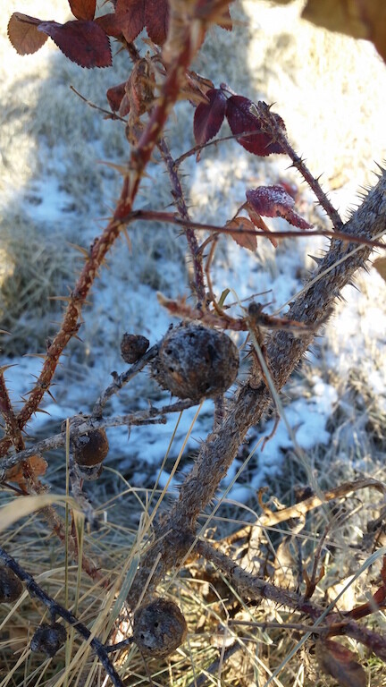 20141114_104923.jpg