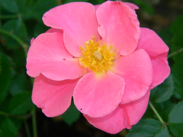 eyes for you x lynnie (5).JPG