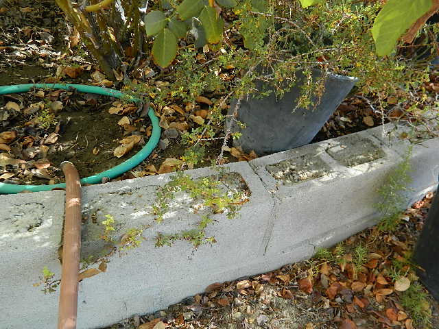 DSCN0675.JPG