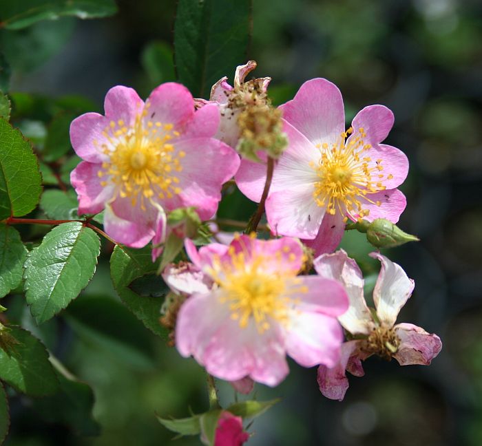 S34 T111 2.jpg