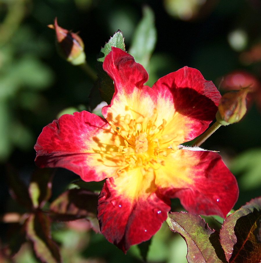 S79 3.jpg