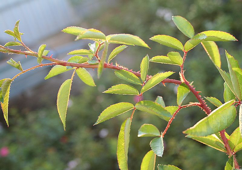S34 T111.jpg