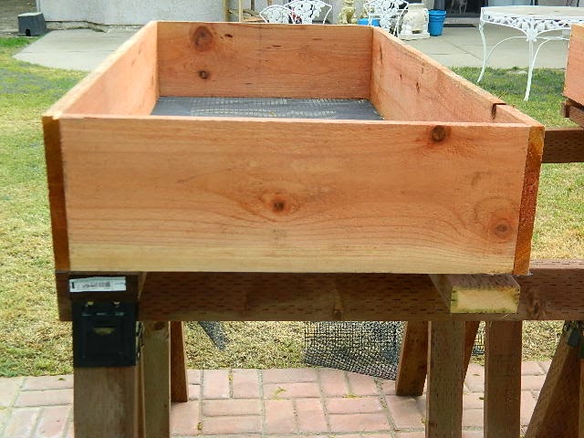 DSCN2540.JPG
