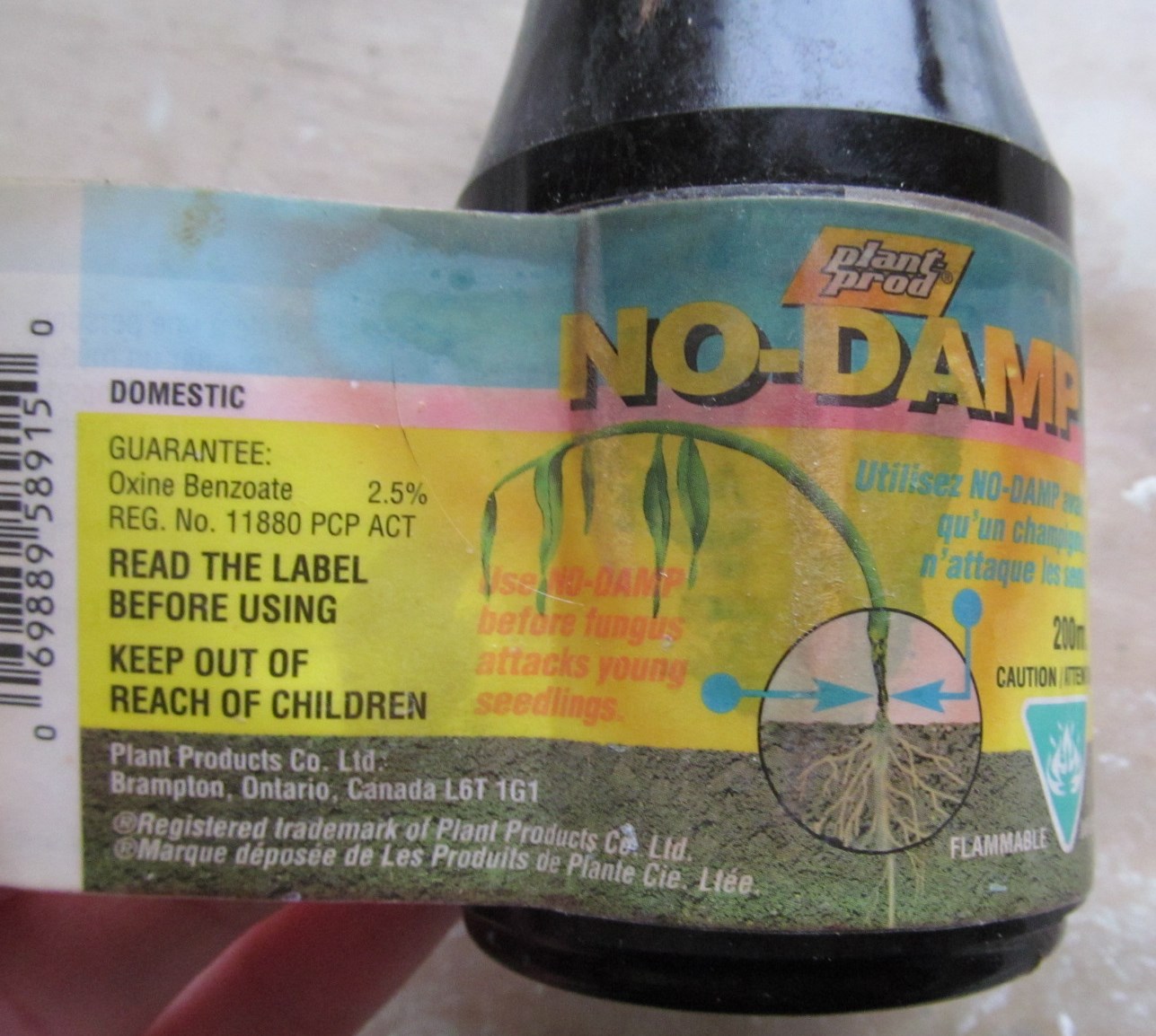 No Damp 002.JPG