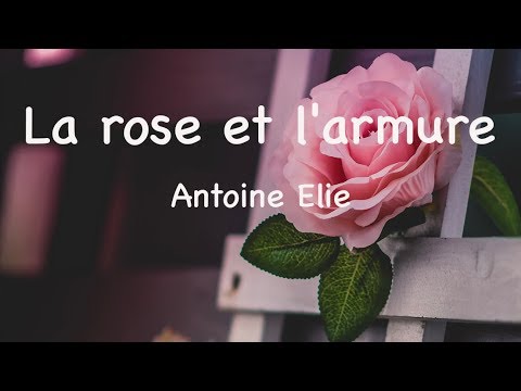 La rose et l'armure - Antoine Elie: A little different suggestion - Other -  Rose Hybridizers Association