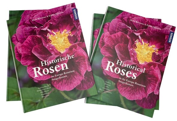 Rosarium_Sangerhausen_ Historical_Roses_Gallica