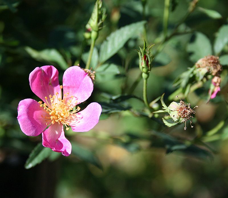 S34 T132 1.jpg