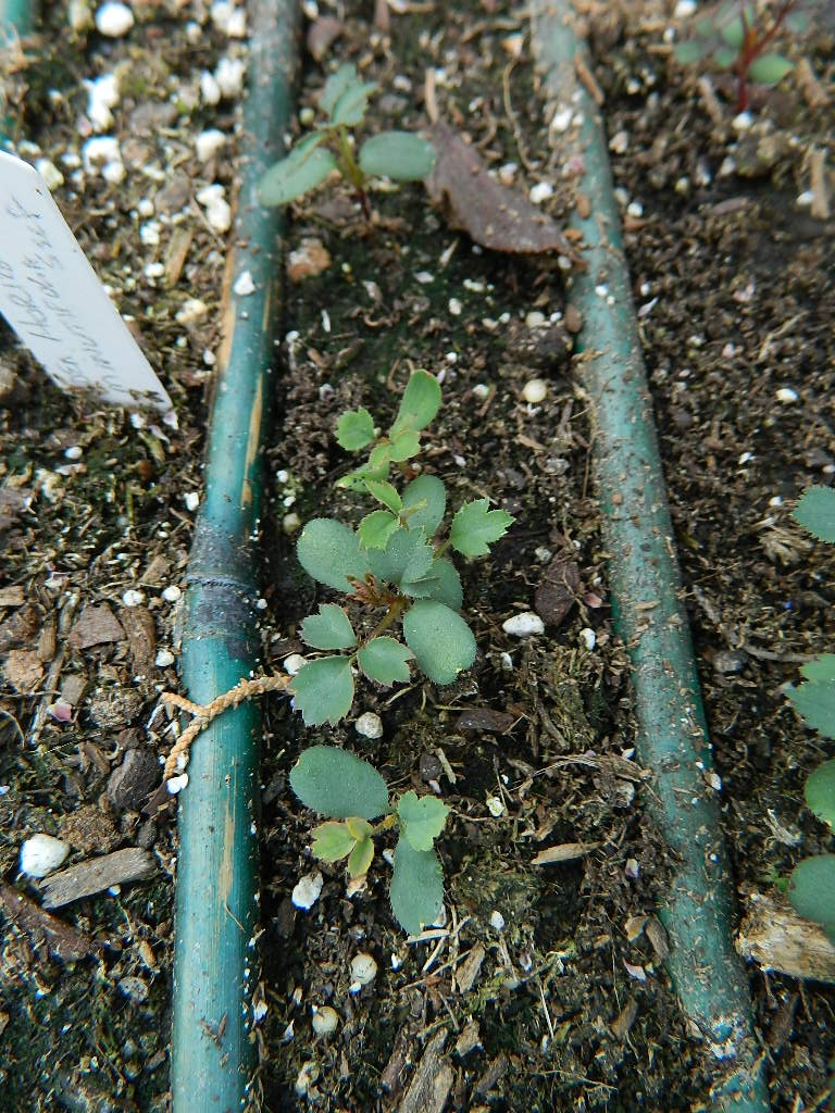 DSCN1041.JPG