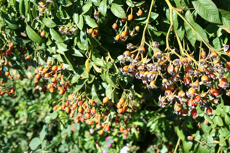 KATH X PAULS BACK.jpg