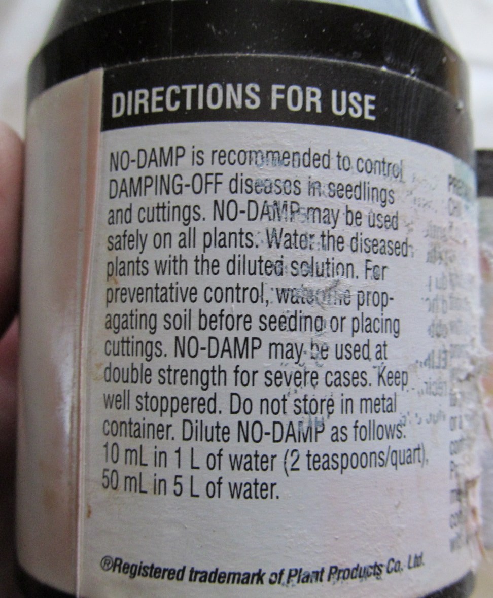 No Damp 001.JPG