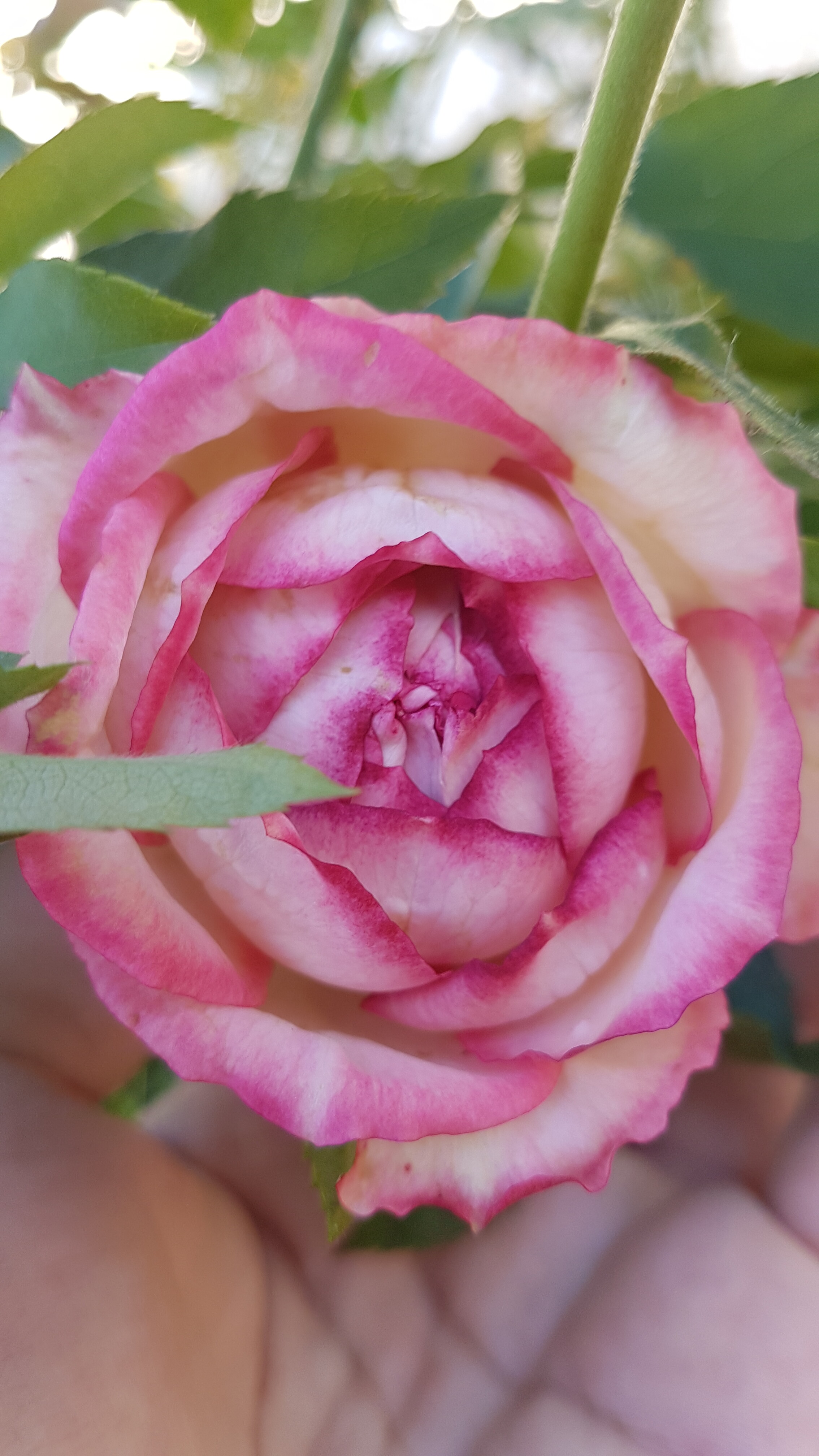 20191225_171950.jpg