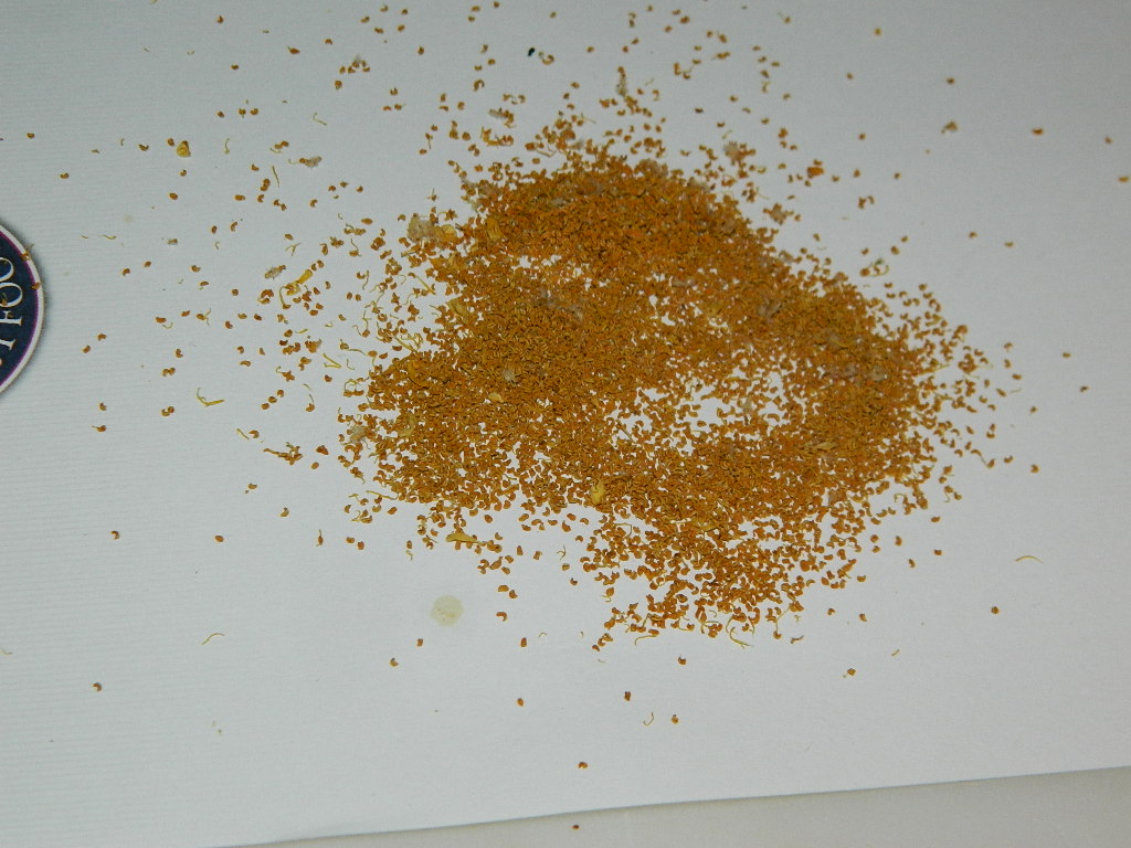 pollen (2).JPG