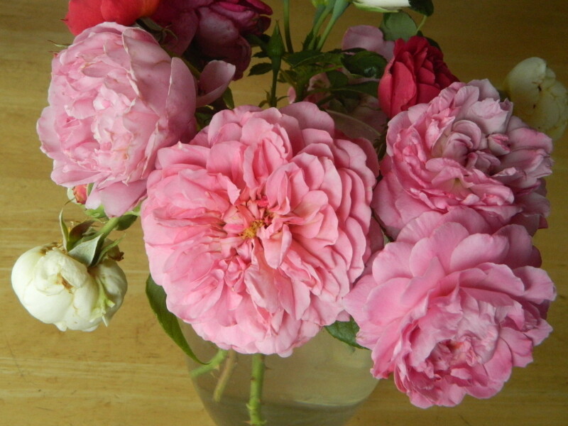 DSCN6512.JPG
