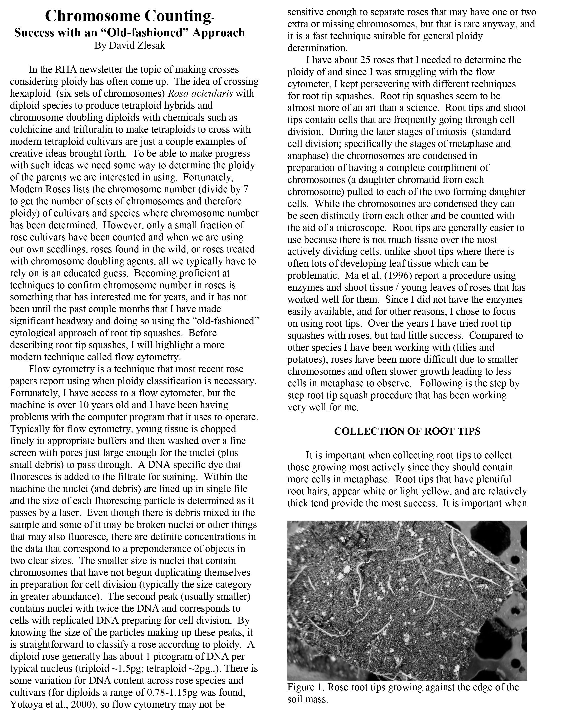 Chromosome Counting-1.jpg