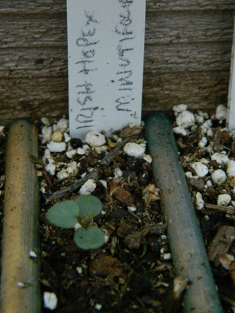 DSCN1024.JPG