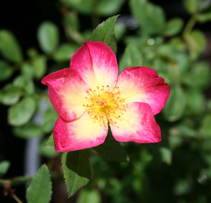 S79.jpg