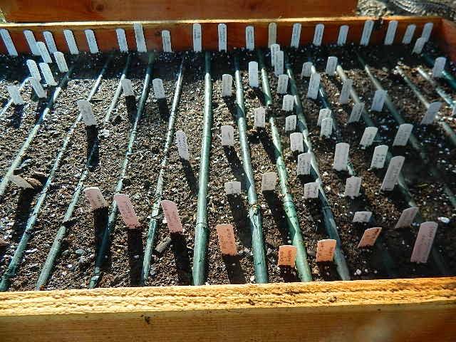 DSCN2652.JPG