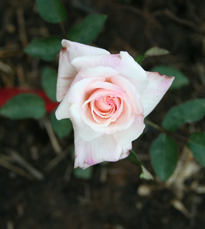O12 P19.jpg