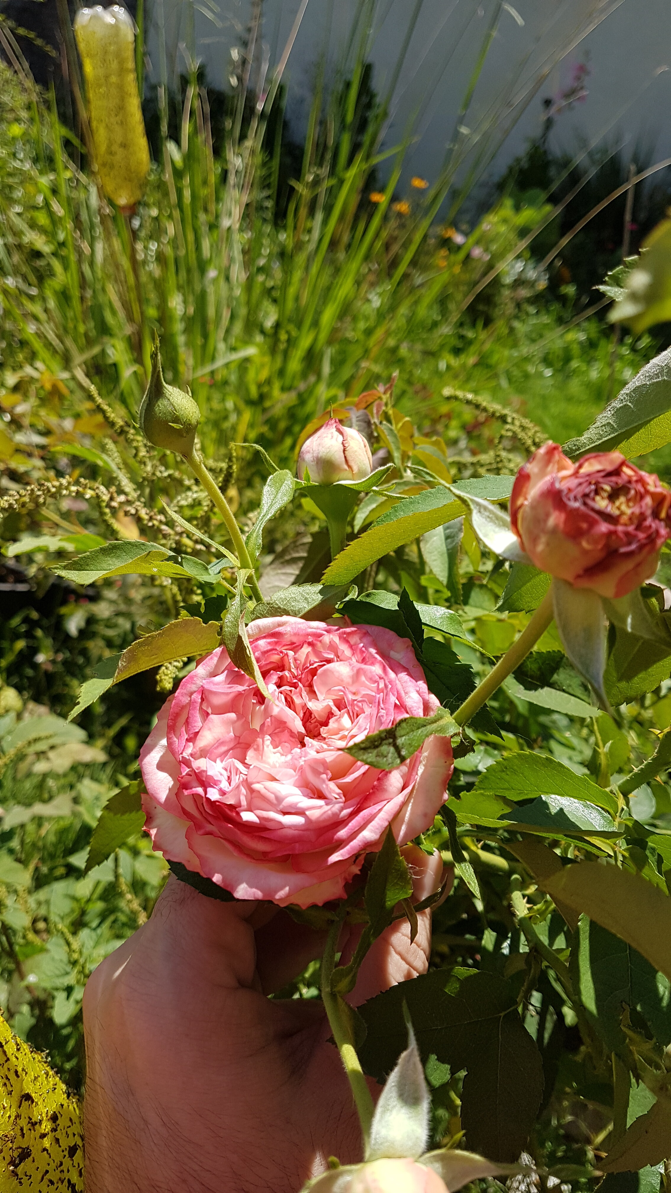 20191227_104135.jpg